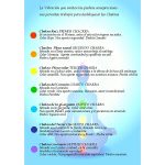Chakras para incienso de India