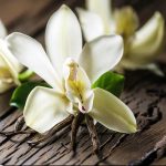 Flor de vainilla para incienso de India